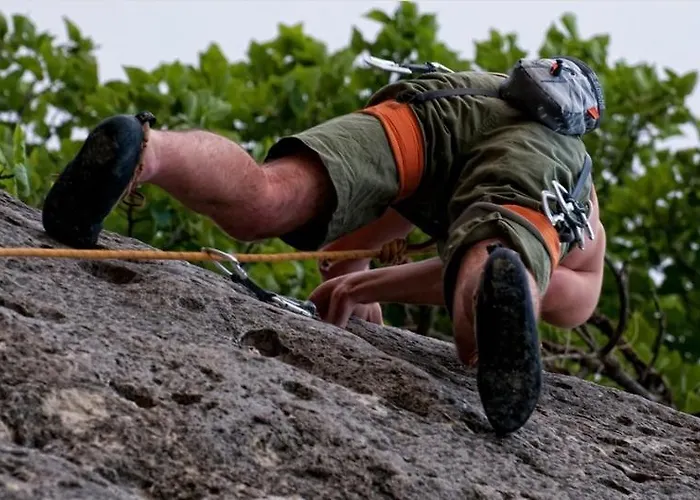 El Corral De * Concilio