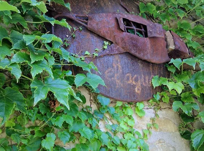 El Corral De Casa rural Concilio